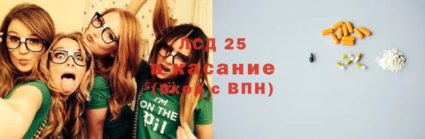 крисы Аркадак