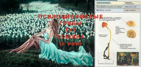 MDMA Premium VHQ Армянск
