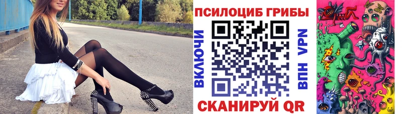 хочу   Урус-Мартан  Псилоцибиновые грибы прущие грибы 
